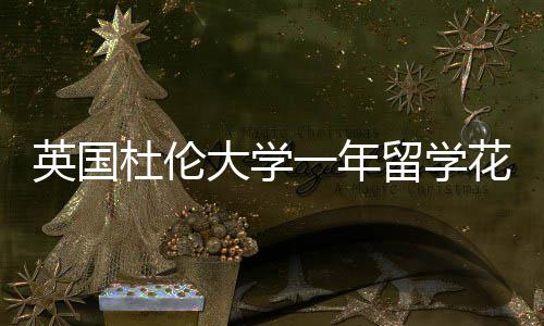 杜伦大学留学指南花费英国一年预算